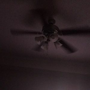 Meet your Posher, Darrin